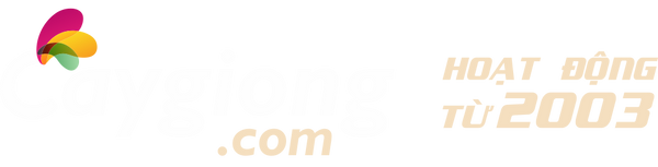 Caygiong.com
