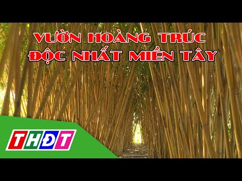 Hoàng Trúc Đất Việt